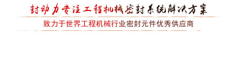 价值
